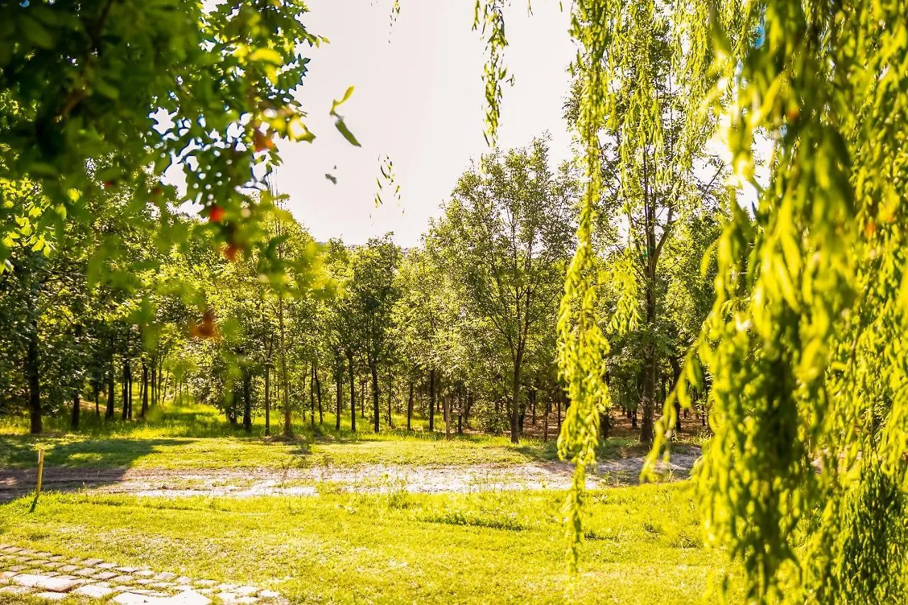 Il Podere Del Germano Reale Coriano Italia
