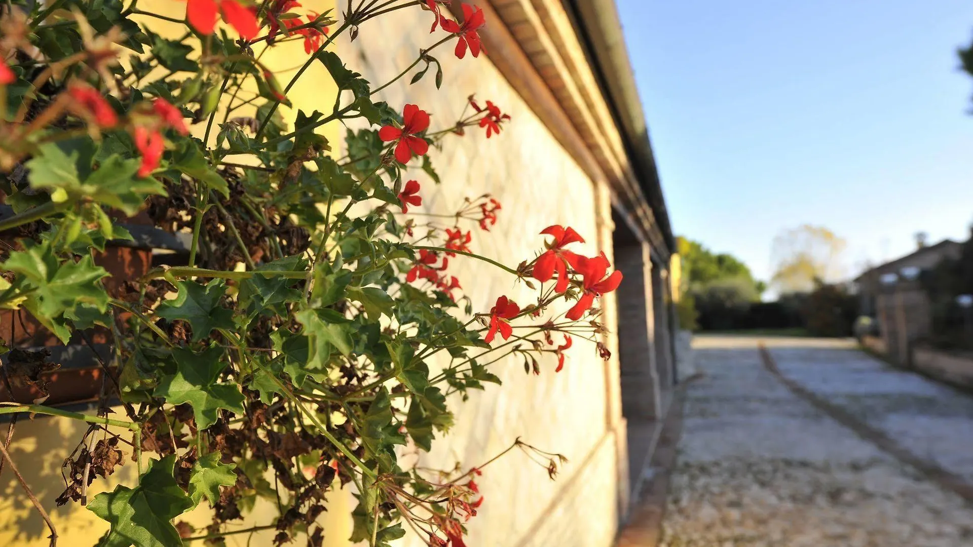 **** Hotel Il Podere Del Germano Reale Coriano Italia